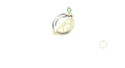 Lemon Casino